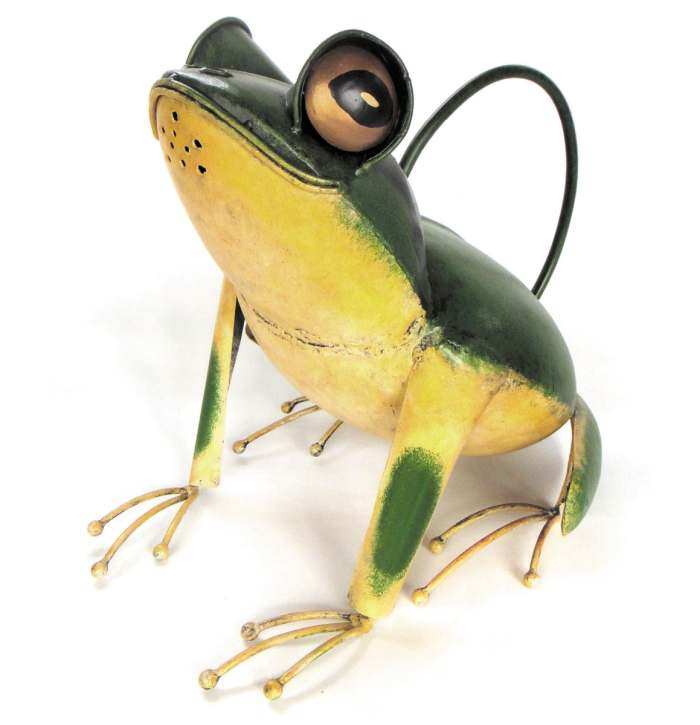 Tree Frog Watering Can